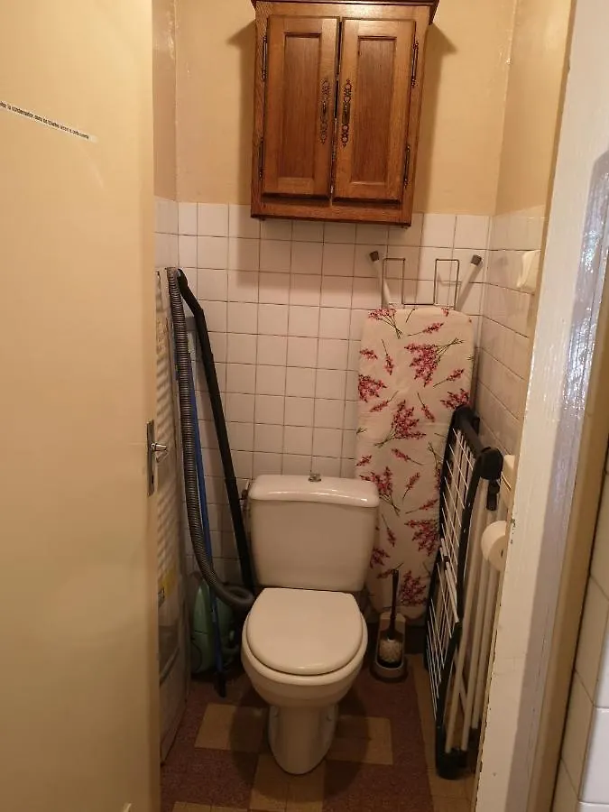 Appartement Rdc A Coeur Du Mont Dore France